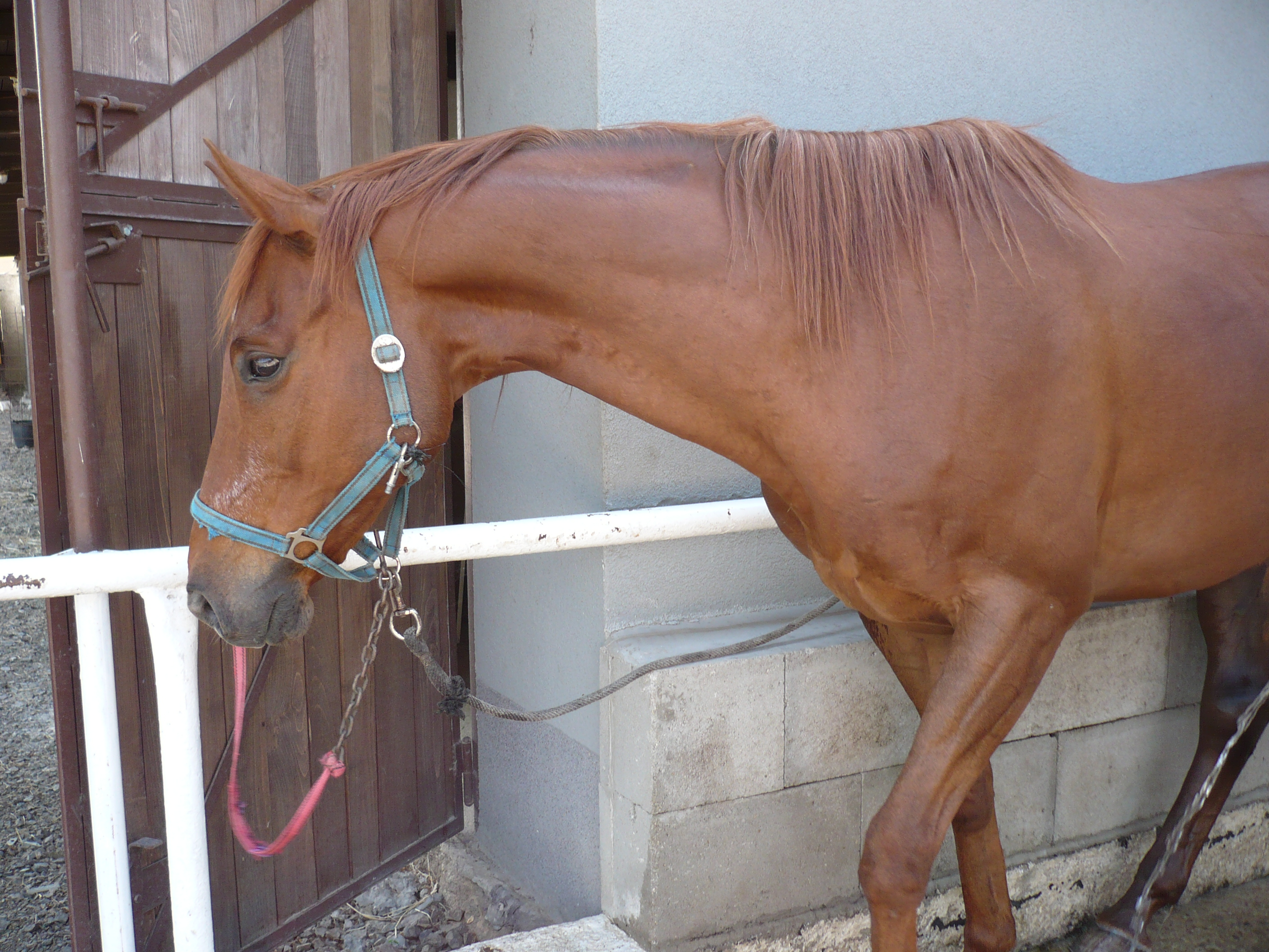 P1000767.JPG